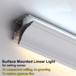 Ceiling Light